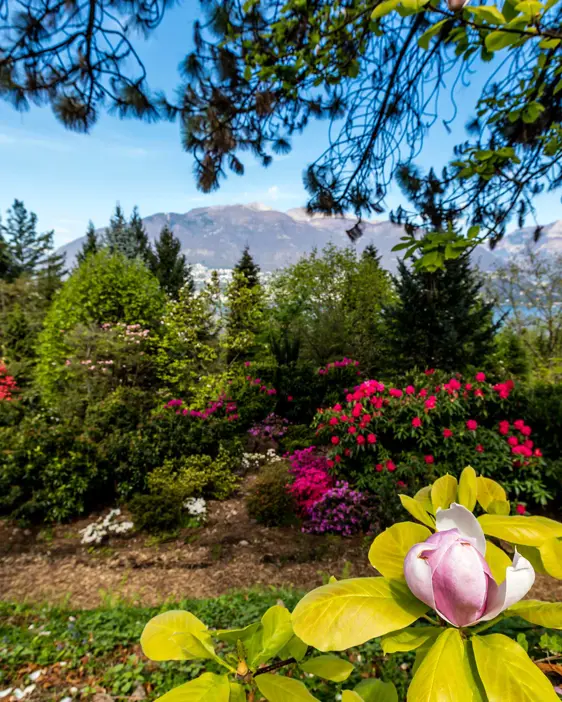 Parco Botanico Del Gambarogno 13 (© Ascona Locarno Tourism Foto Alessio Pizzicannella)